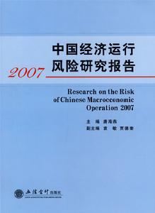 中國經濟運行風險研究報告(2007)