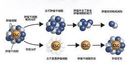 腫瘤幹細胞[2009年07月東南大學出版社出版的圖書]