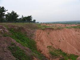 郯城麥坡地震活斷層遺址