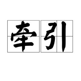 牽引[漢語詞語]