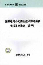 國家電網公司安全技術勞動保護七項重點措施（試行）