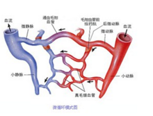 腦梗後遺症