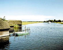 東麗湖風景