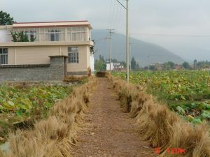 小赤鋪村