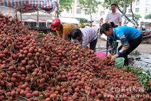 靈山縣[中國廣西欽州市下轄縣]