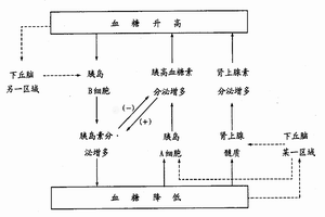 低血糖症