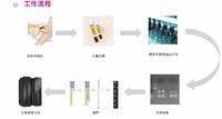 無創基因檢測技術