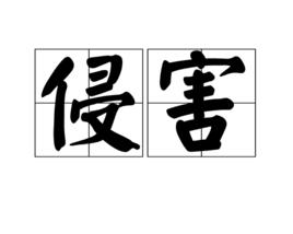 侵害[漢語詞語]