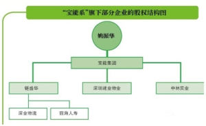 寶能系機構