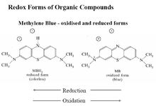亞甲基藍的氧化還原態