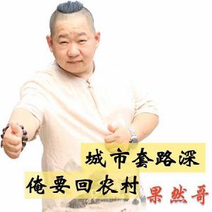 城市套路深俺要回農村[果然哥演唱歌曲]