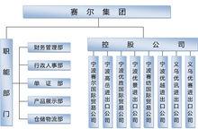 集團組織結構圖