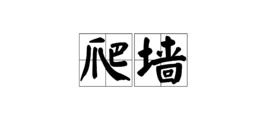 爬牆[遊戲《瘋狂松鼠》技術術語]