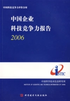 中國企業科技競爭力報告2006