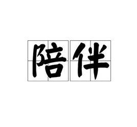 陪伴[詞語]