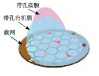 多孔碳支持膜