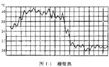 發熱類型曲線圖