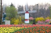 中山公園[山東省青島市中山公園]