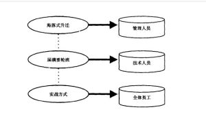 海豚式管理