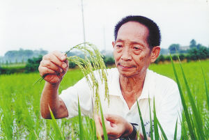 （圖）《袁隆平》