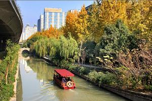 中東河八景