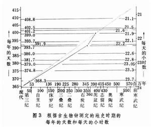 珊瑚（化石）