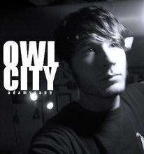 owl city