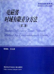 電磁波時域有限差分方法