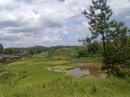 橋塘村[貴州省鳳岡縣新建鎮橋塘村]