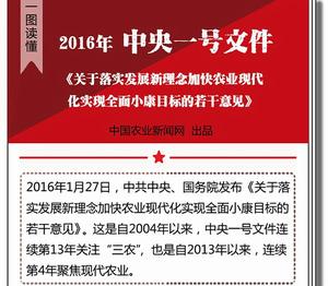 中共中央、國務院關於落實發展新理念加快農業現代化實現全面小康目標的若干意見