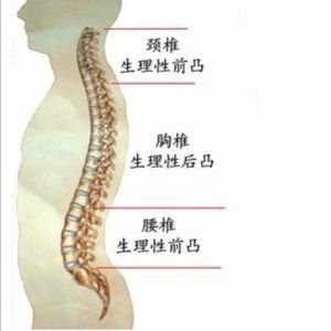 亦百東方形體梳理鞋