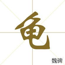 龜[中國漢語漢字]