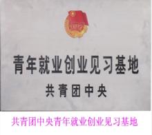 奔騰實業（集團）股份有限公司