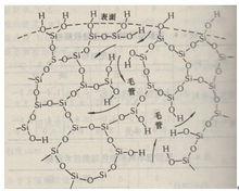 沉澱二氧化矽內部充滿毛細孔