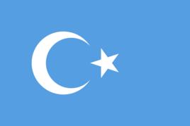 東突厥斯坦伊斯蘭運動