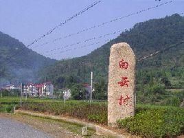 白雲村[雲南省屏邊縣白雲鄉白雲村]