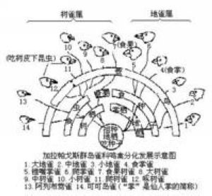 時間隔離