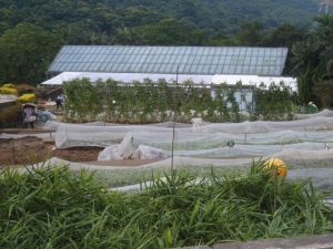 嘉道理農場暨植物園