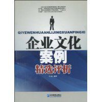 企業文化案例精選評析