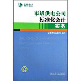 市級供電公司標準化會計實務