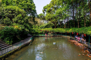 浣花溪公園