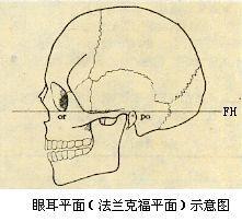 眼耳平面