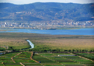 杞麓湖