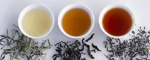 鉛山河紅茶