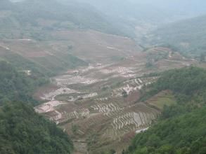 振太鄉塘坊村