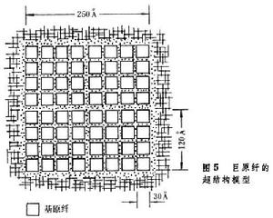 纖維素結構