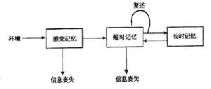 記憶系統