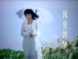 風裡的夢[孟庭葦演唱的歌曲]