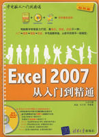 《Excel 2007從入門到精通》