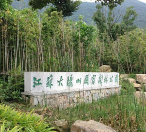 大陽山國家森林公園